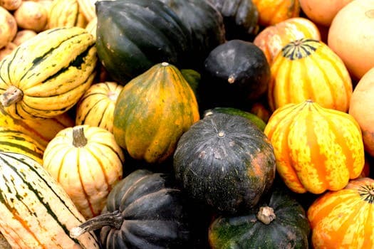 Acorn squash