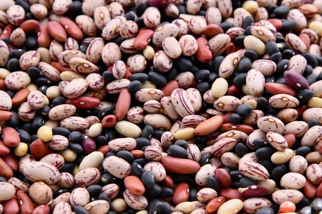 Adzuki beans