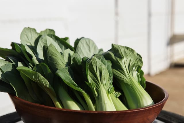 Bok choy