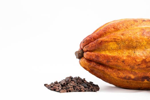 Cacao nibs