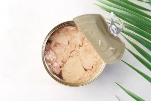 Canned tuna (in oil)