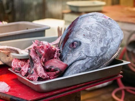 Tuna (canned in water)