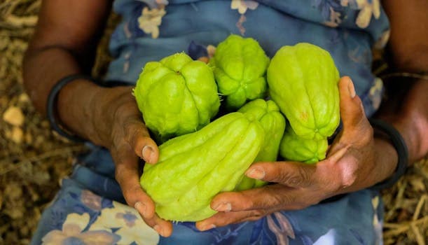 Chayote
