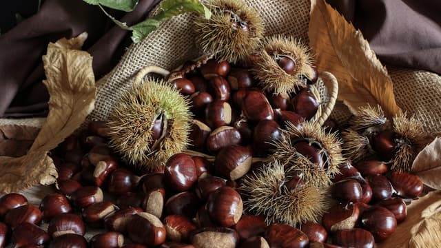 Chestnuts