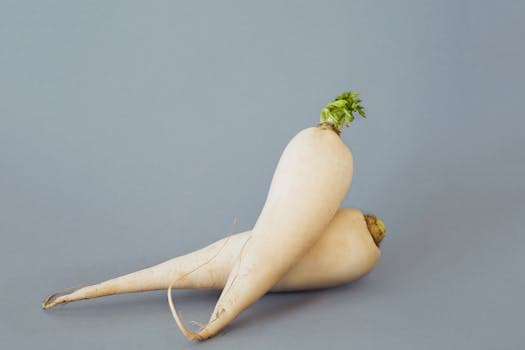 Daikon radish