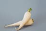 Daikon radish