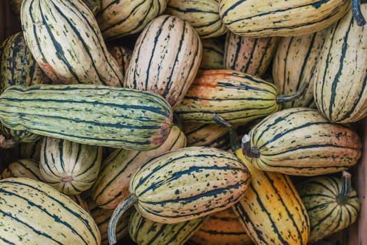 Delicata squash