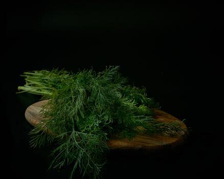 Dill (fresh)