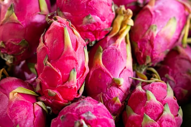 Dragon fruit