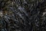 Dried seaweed (nori)