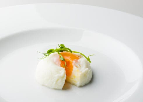 Egg (poached)