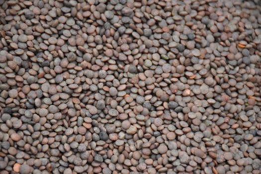 French lentils (Puy)