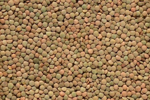 Green lentils