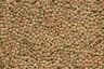 Green lentils