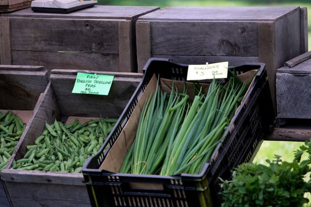 Green onion (scallion)