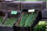 Green onion (scallion)