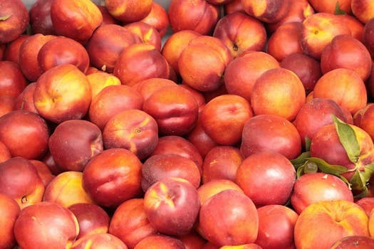 Nectarine