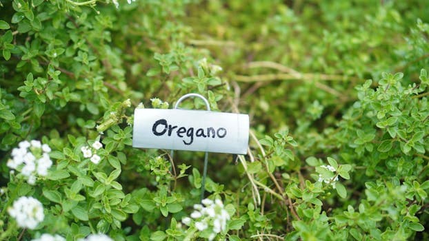 Oregano (dried)