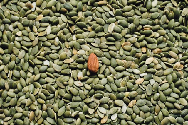 Pumpkin seeds