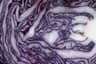 Purple cabbage