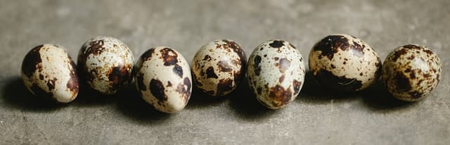 Quail eggs