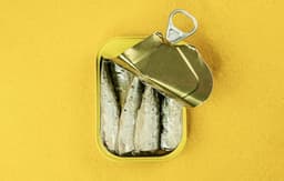 Sardines