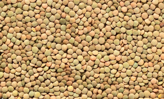 Textured vegetable protein (TVP)