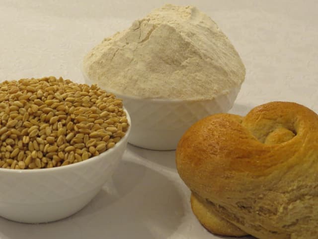 Vital wheat gluten