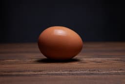 Whole egg