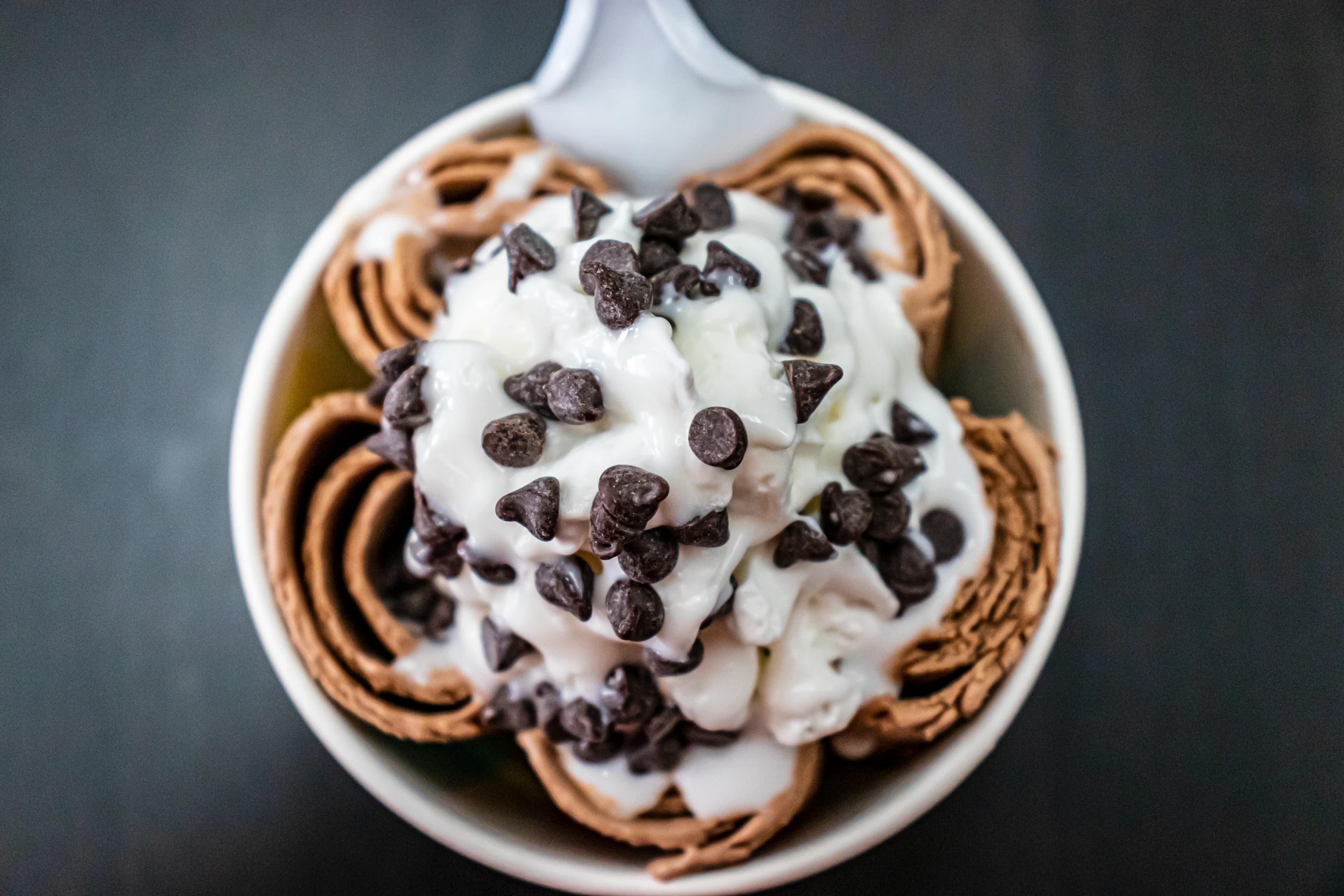 Chocolate Chip Ice Cream