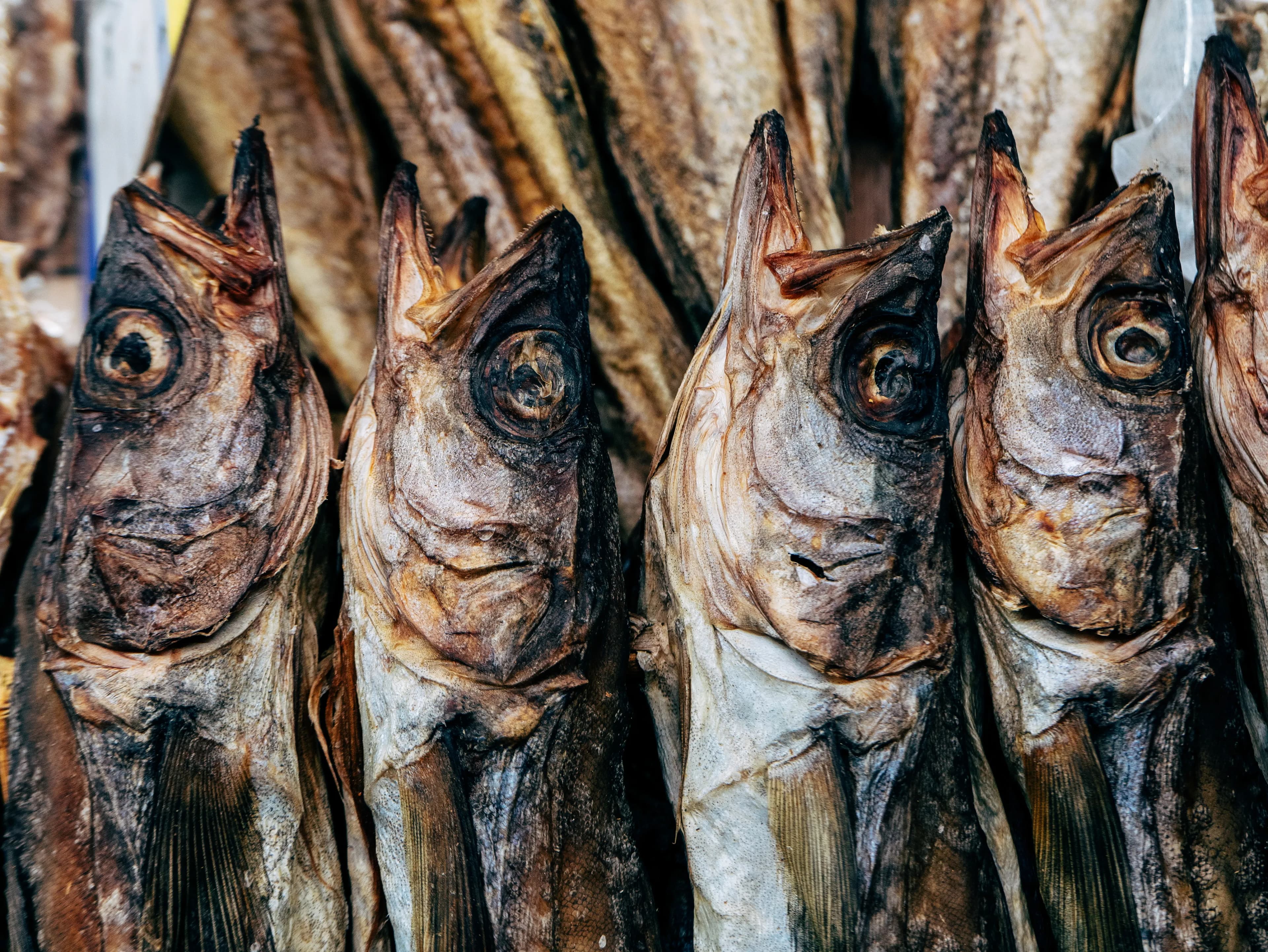 Stockfish