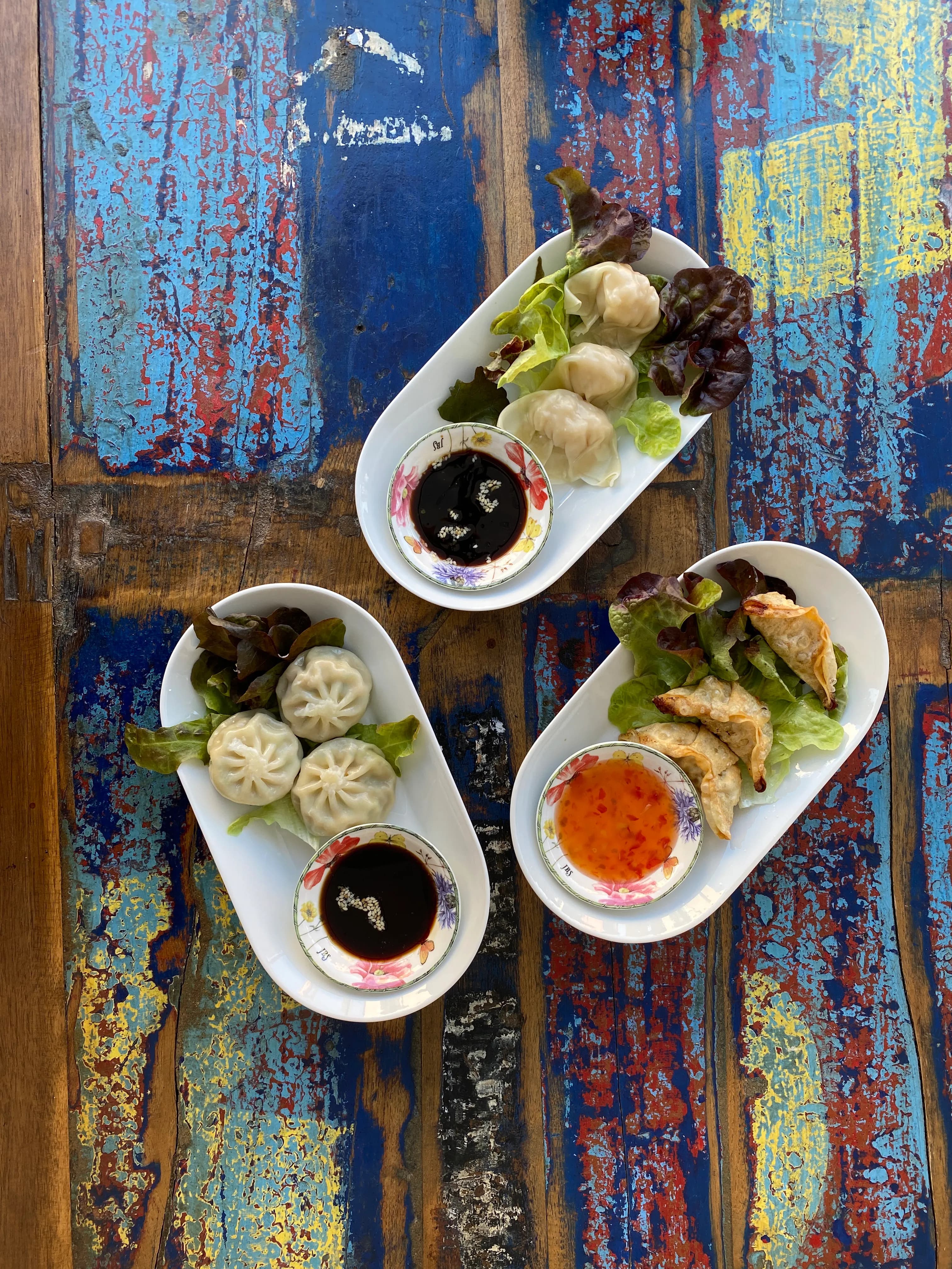 Vegetable Dumplings