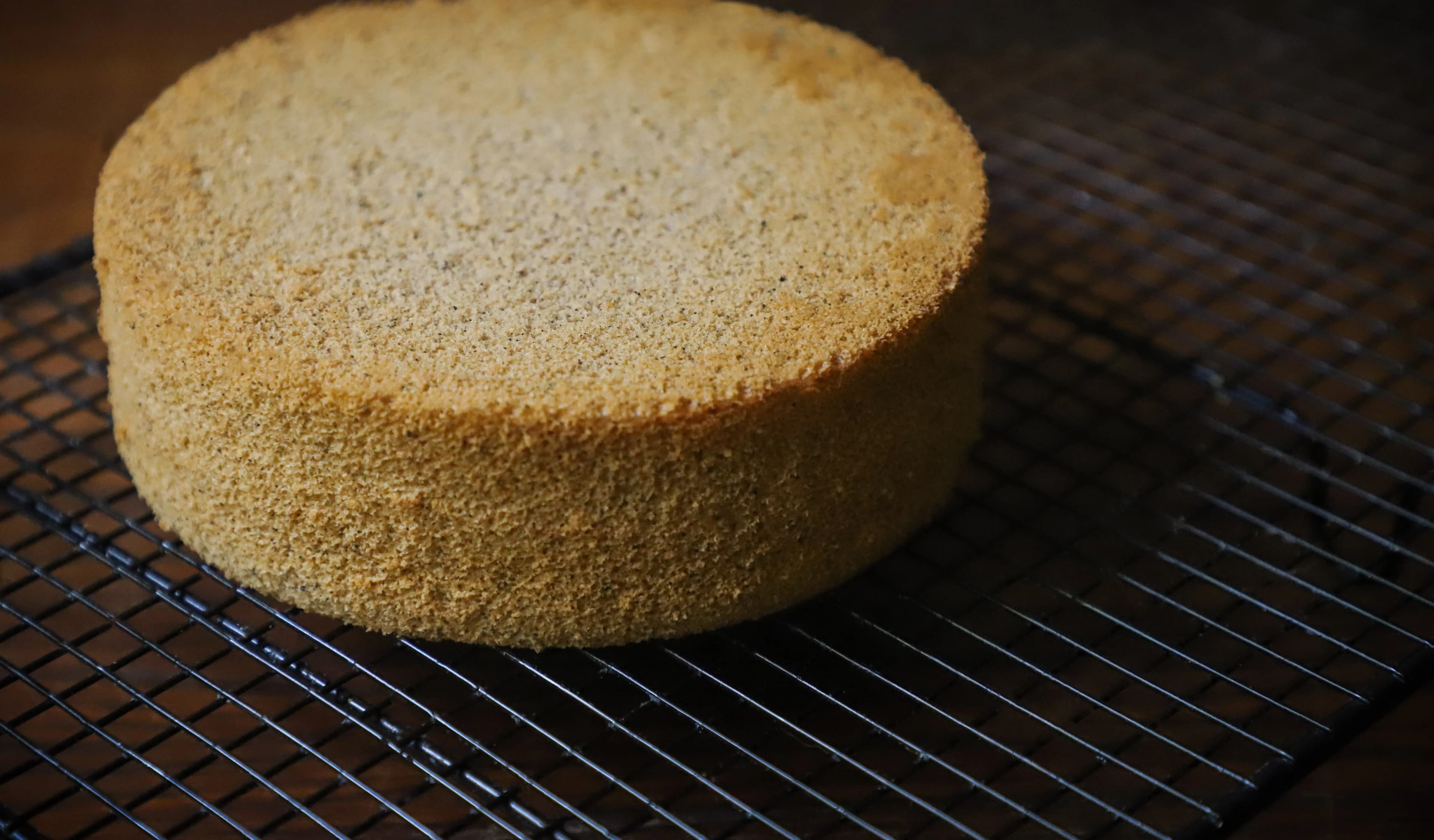 Sponge cake