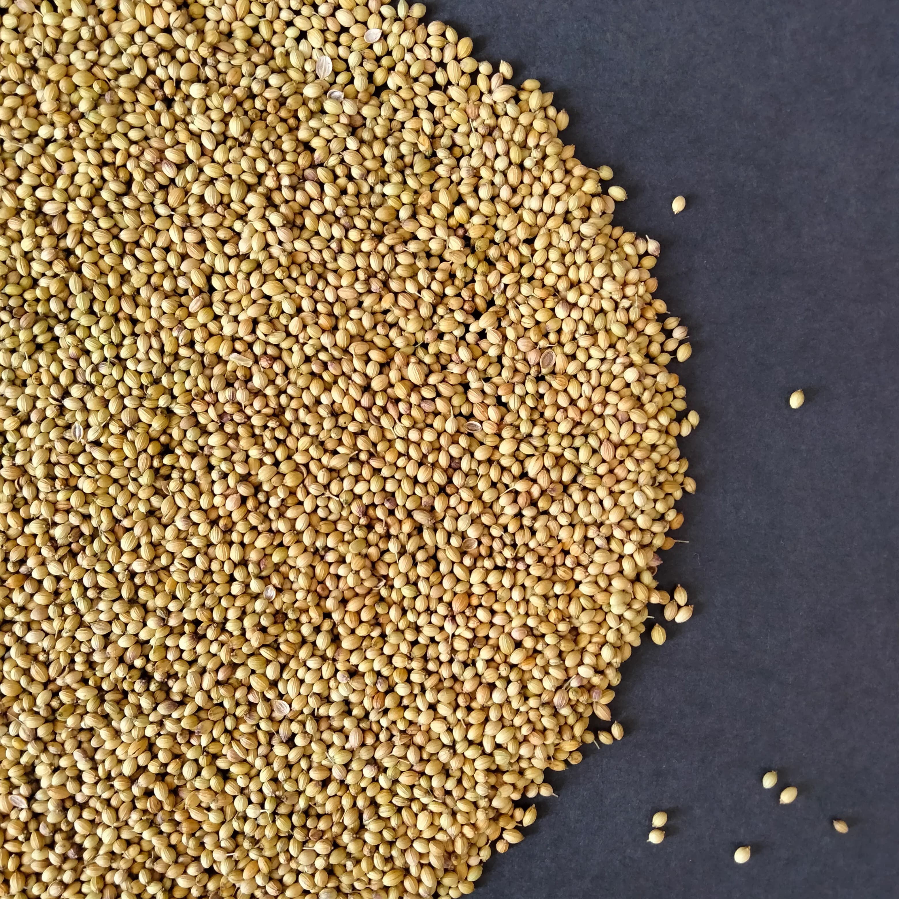 Coriander (ground)