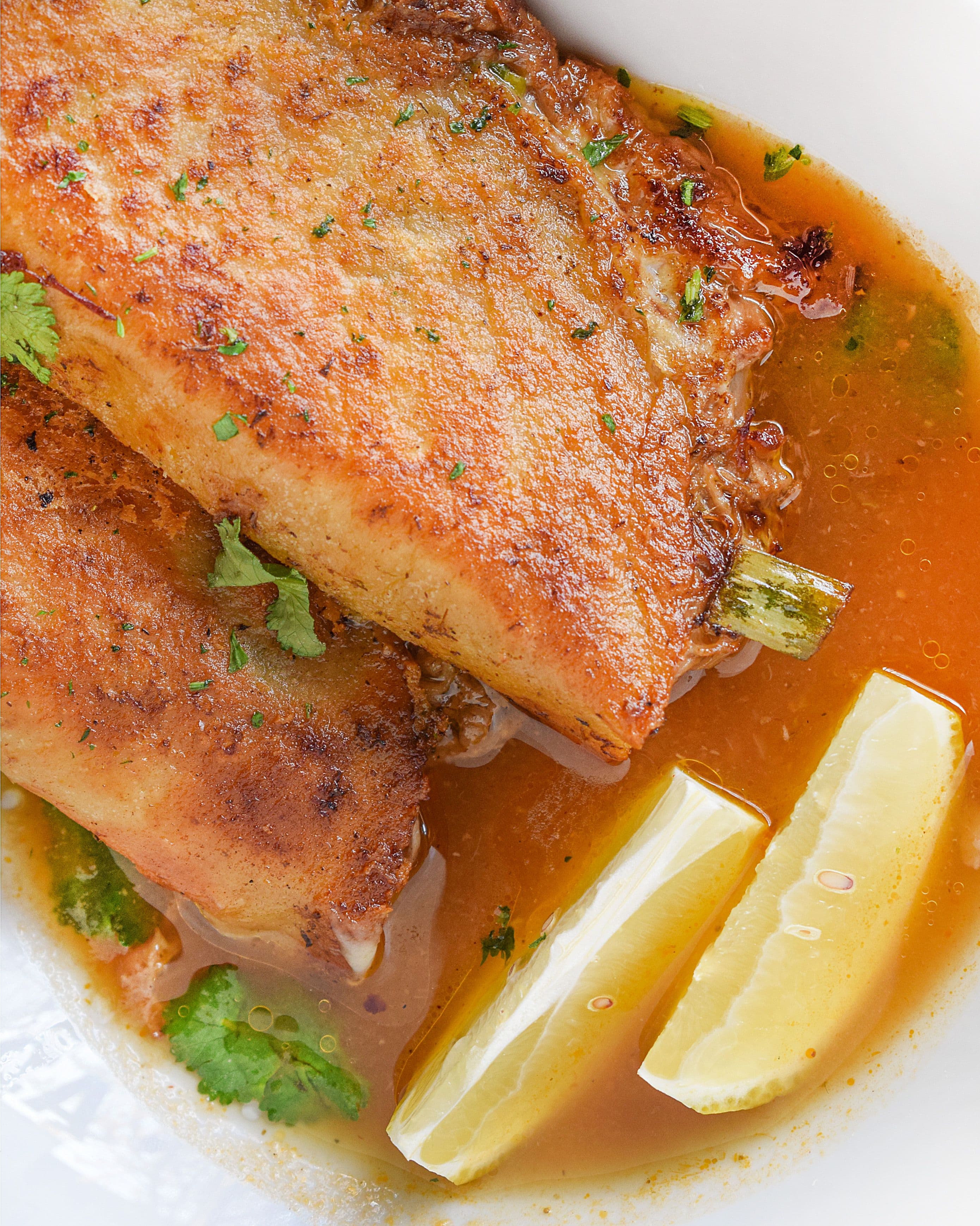 Trout