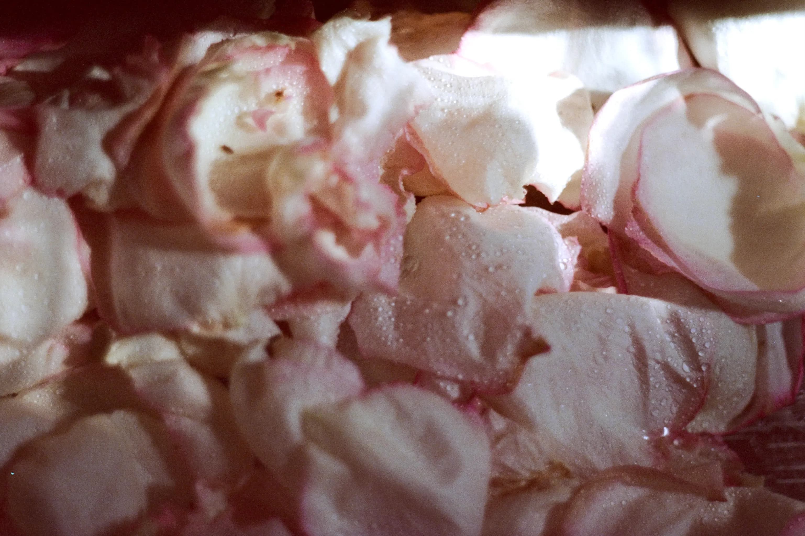 Rose water