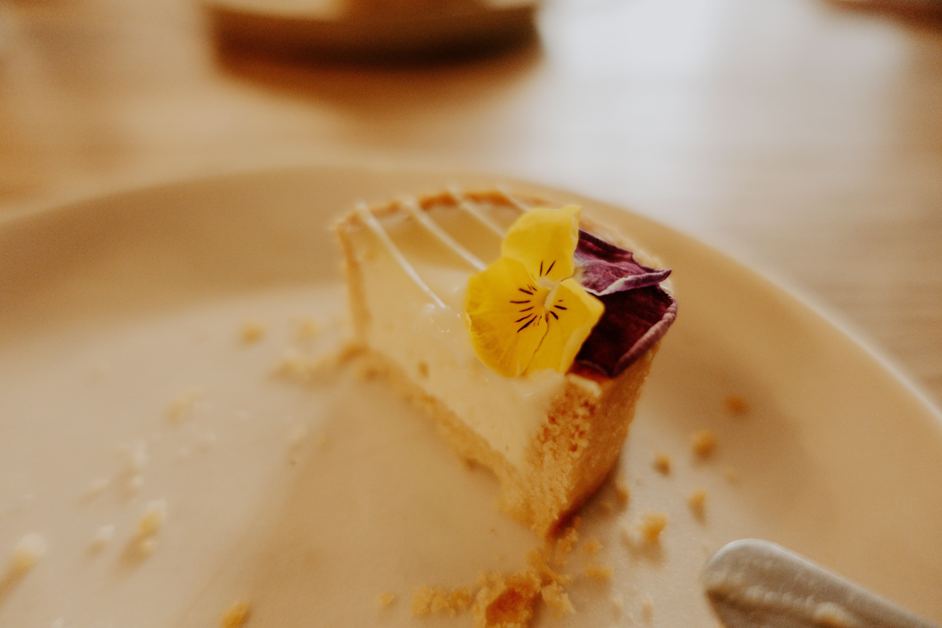 Vanilla Slice