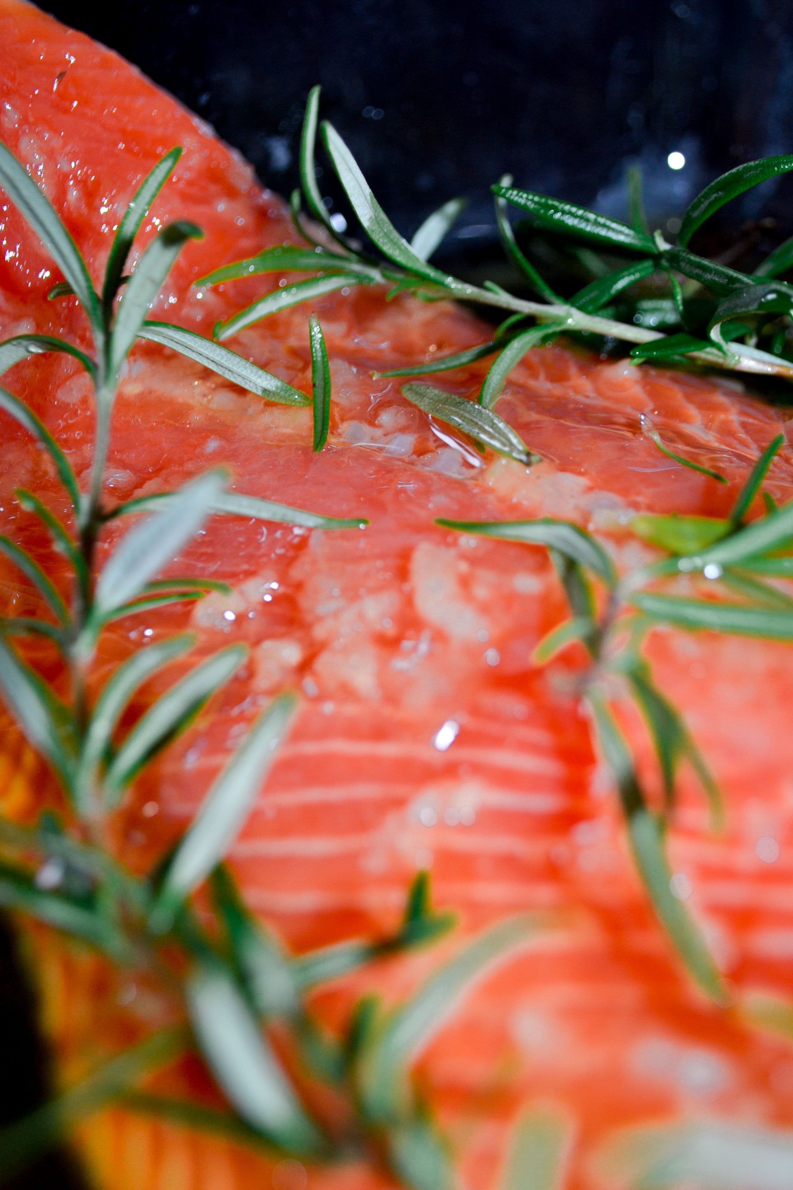 Wild salmon