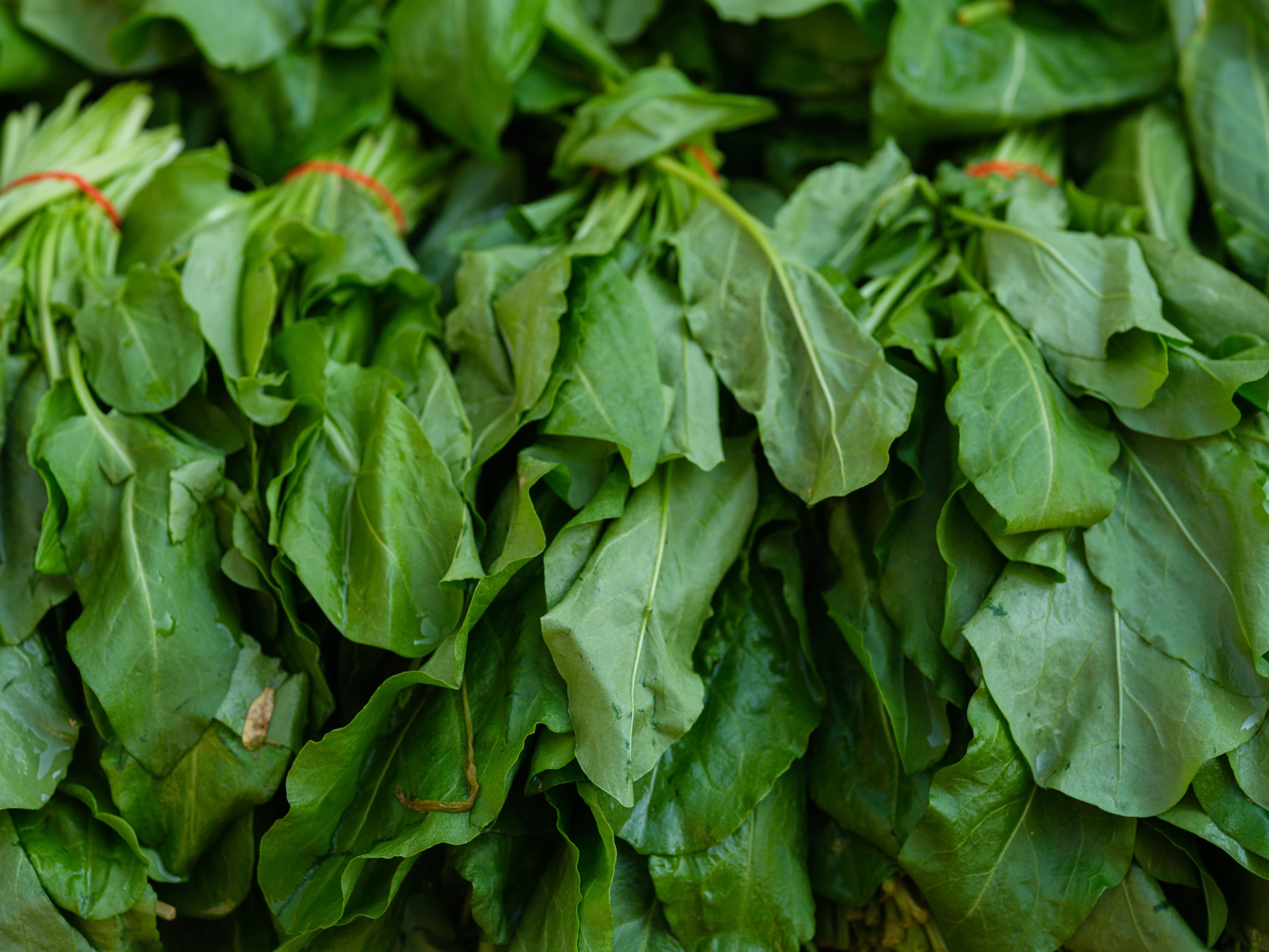 Dandelion greens