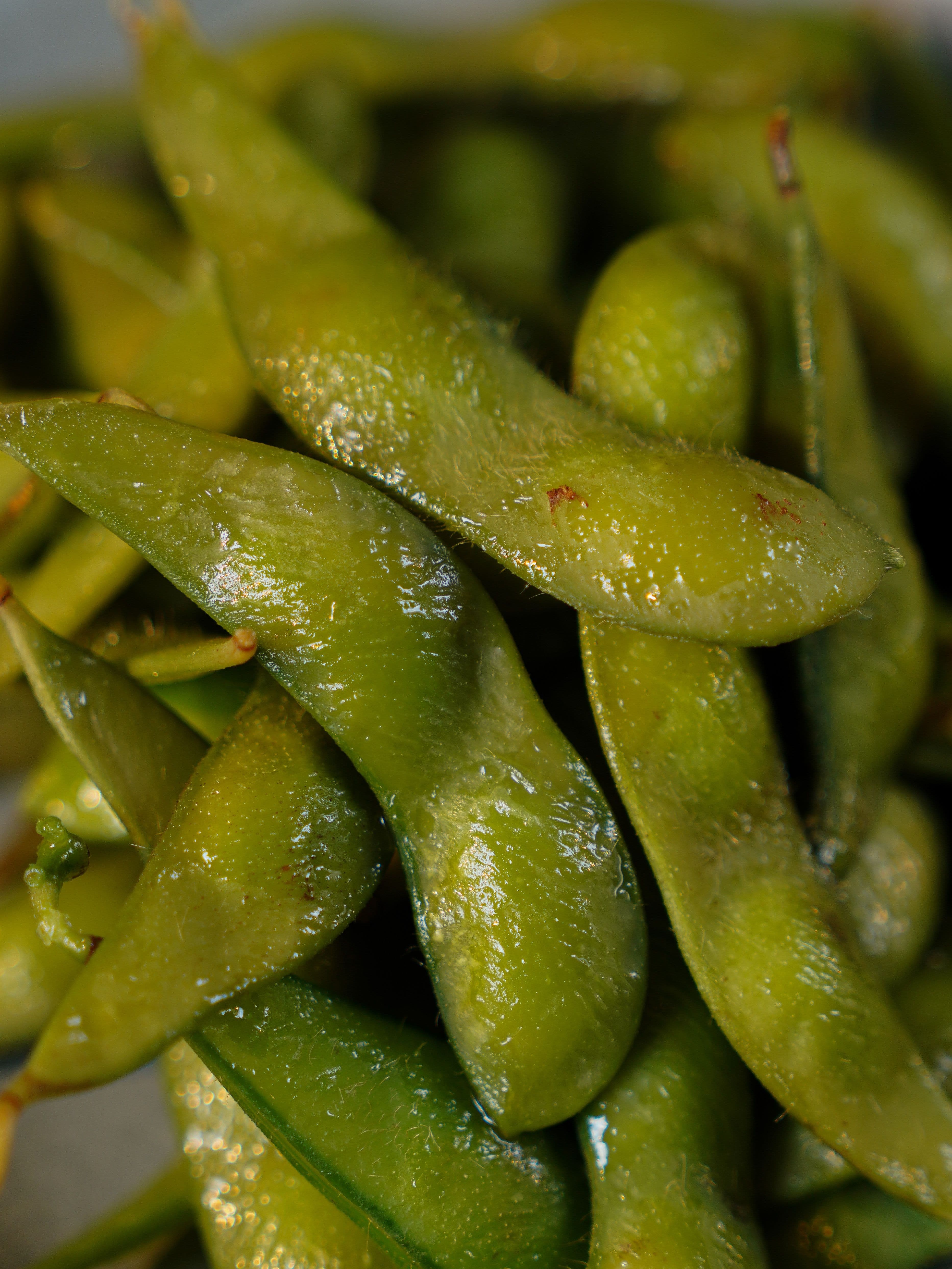 Edamame