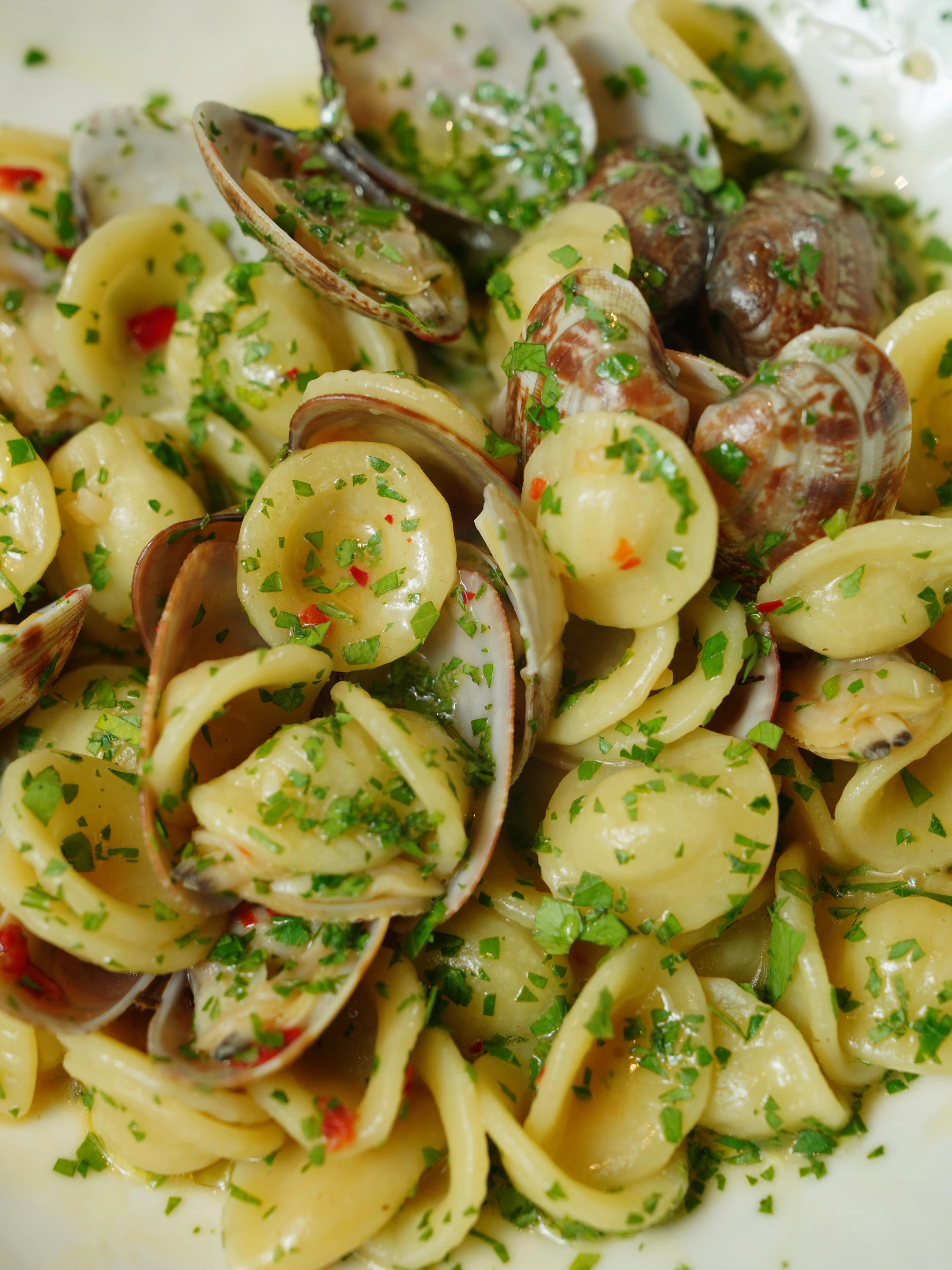 Orecchiette con Cime di Rapa