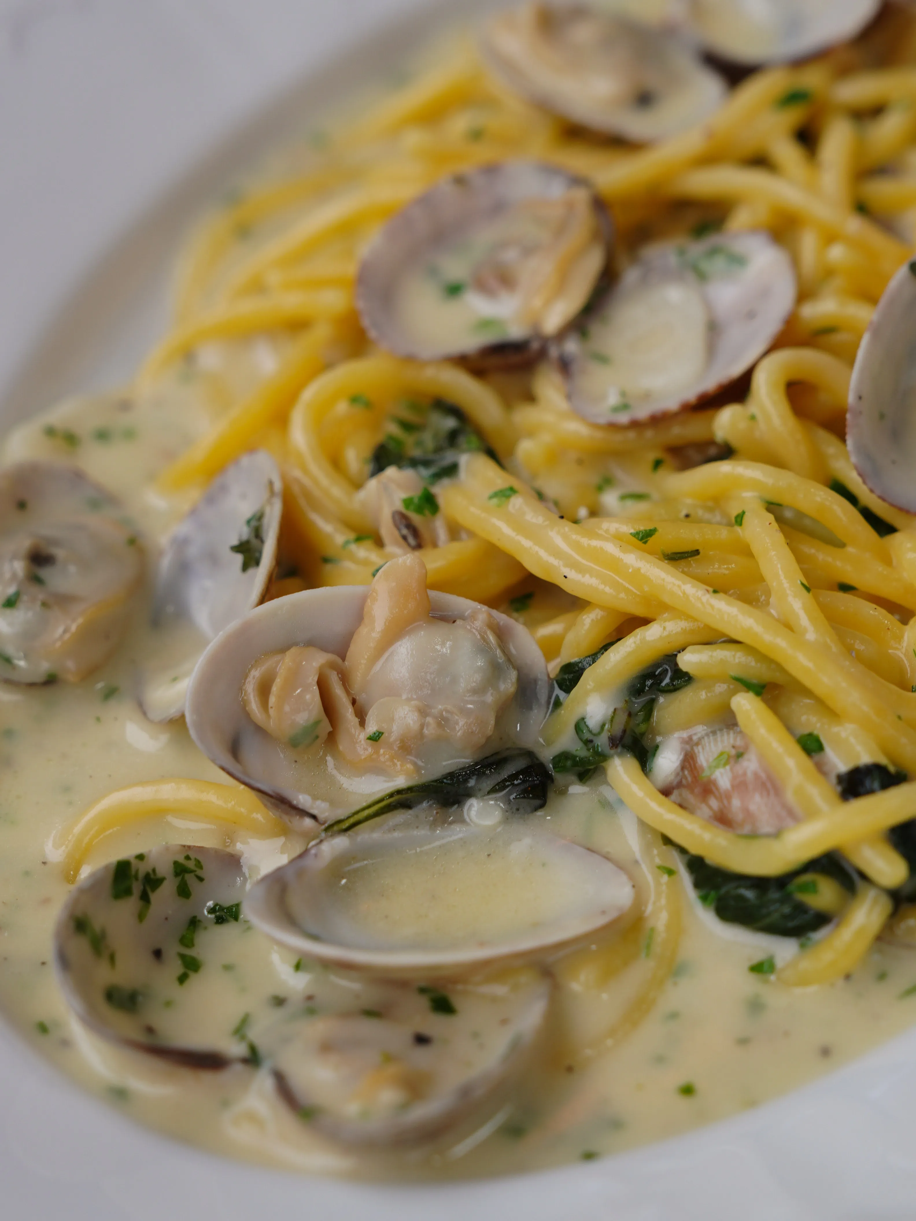 Spaghetti Frutti di Mare