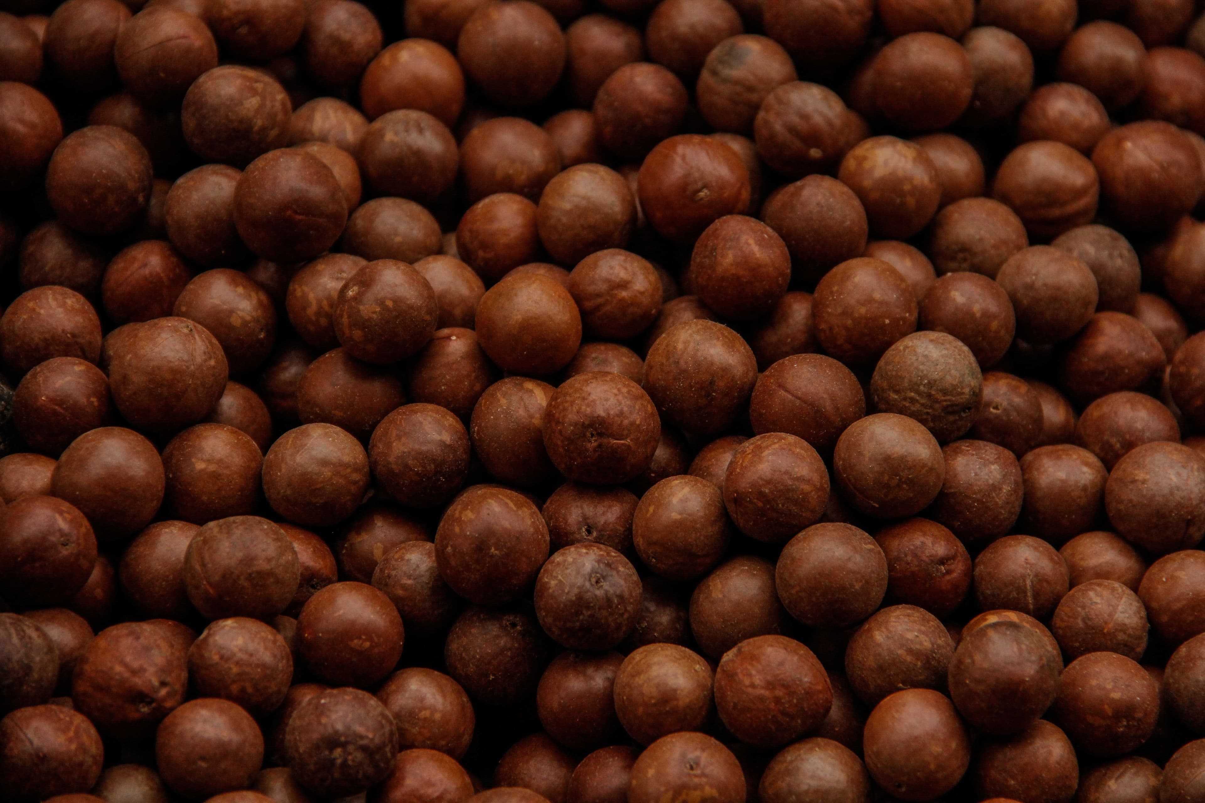 Macadamia nuts