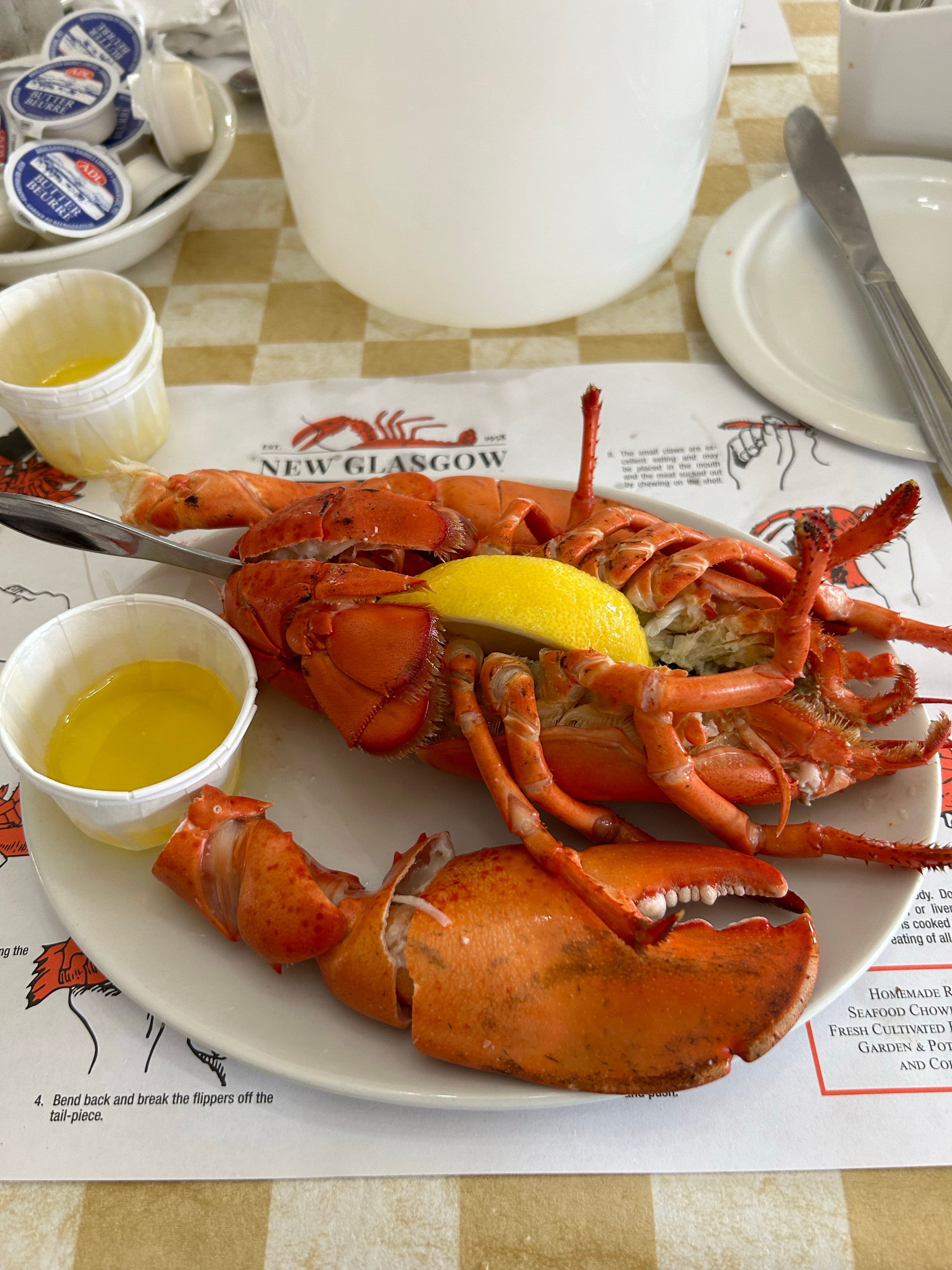 Lobster