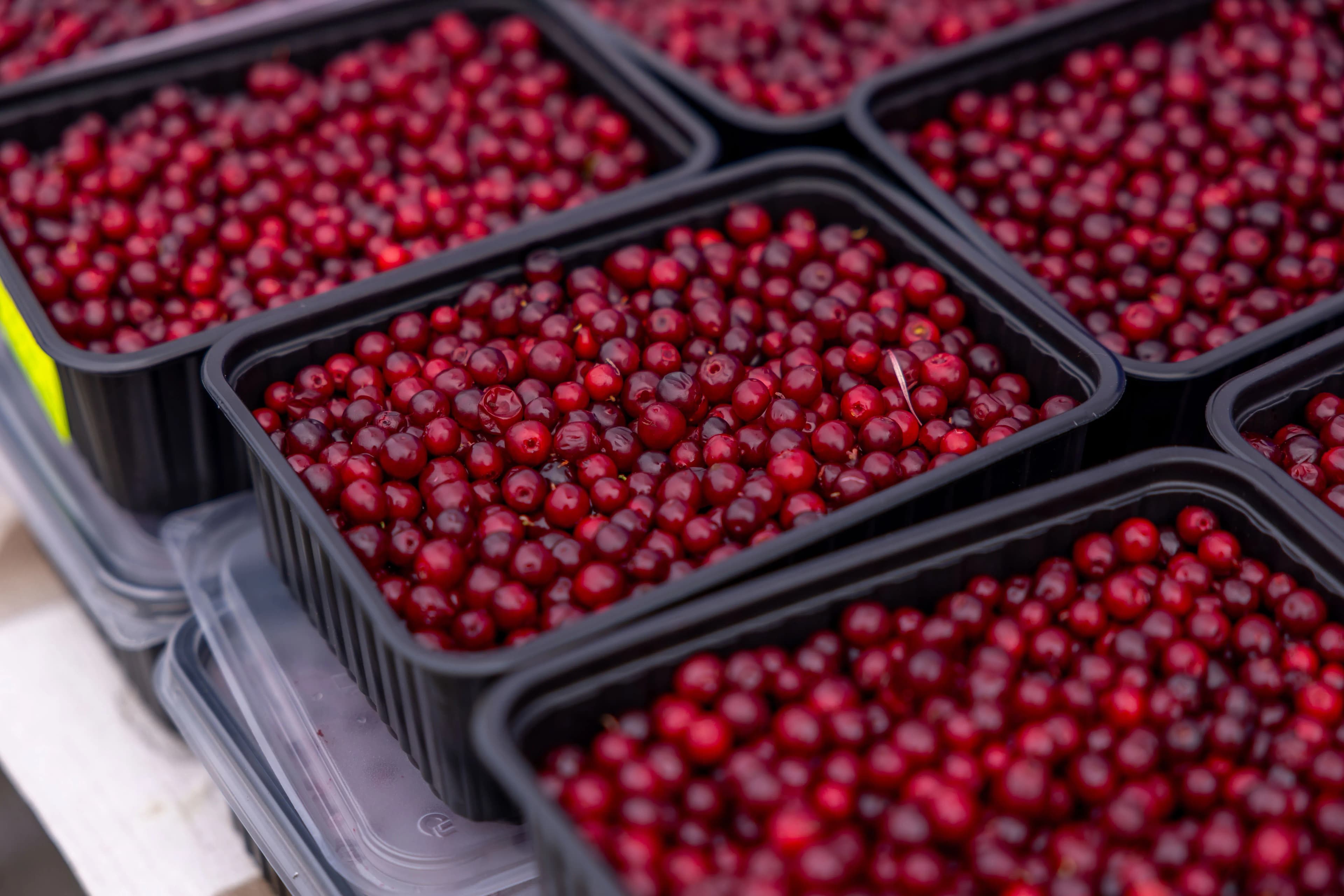 Lingonberries
