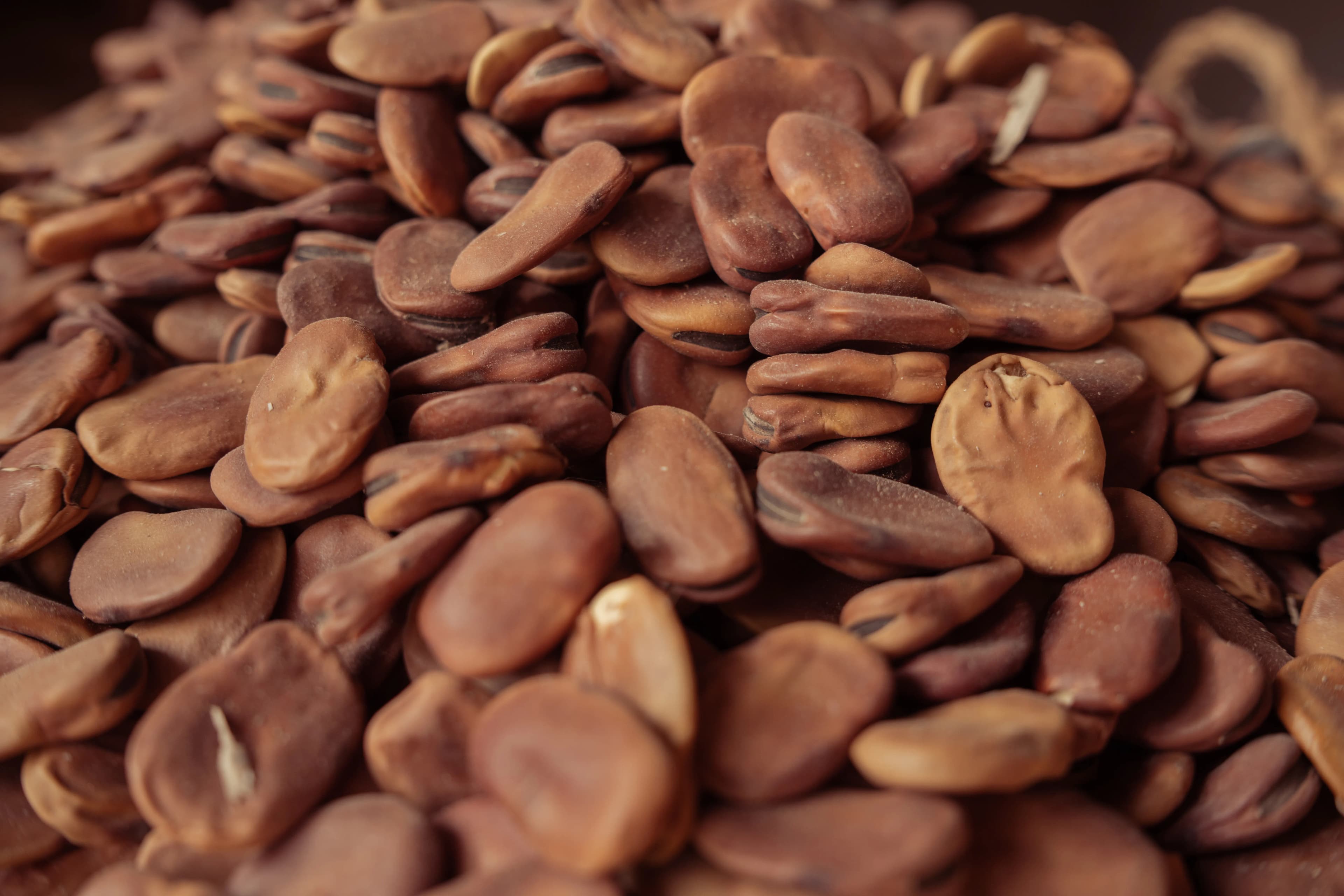 Locust beans