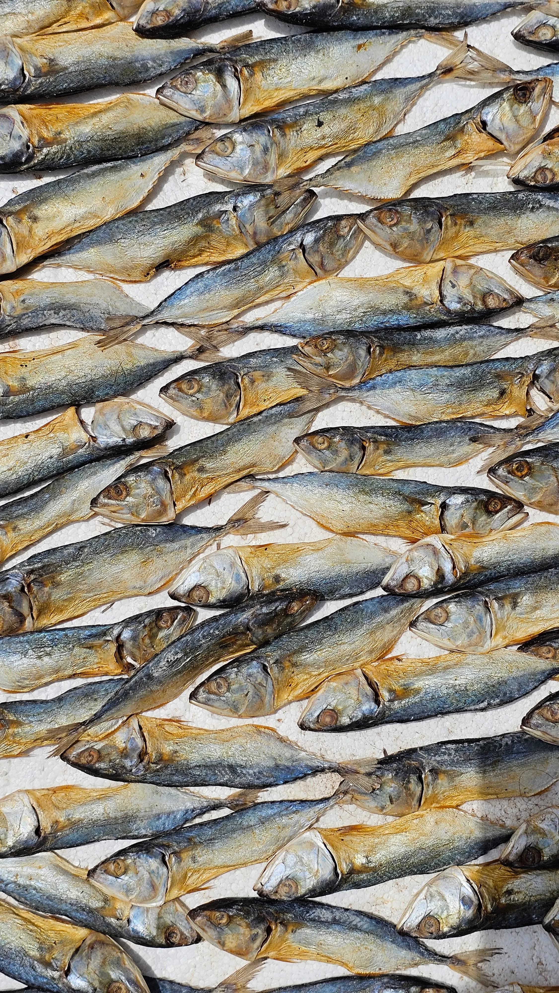 Maldive fish