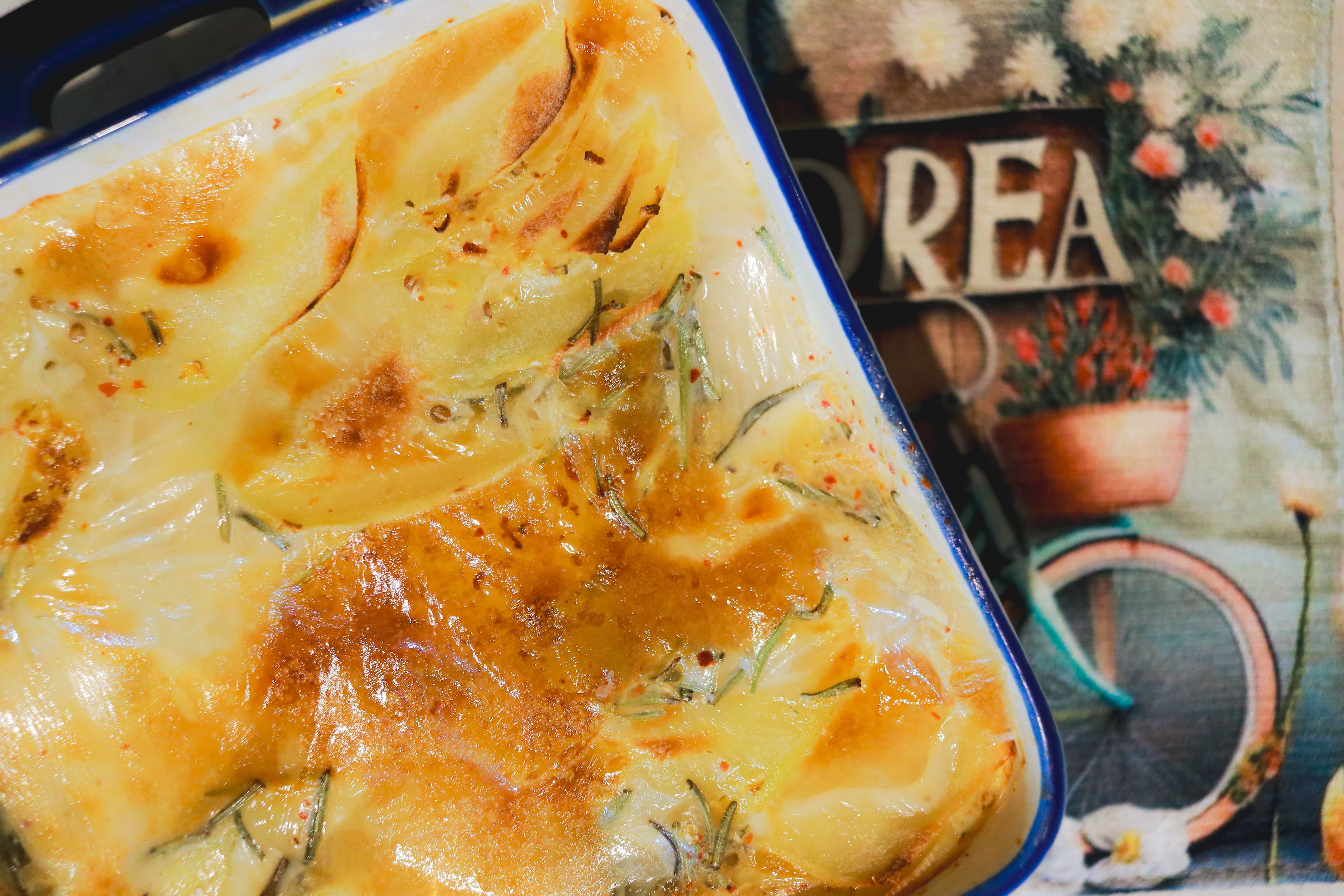 Chicons au Gratin