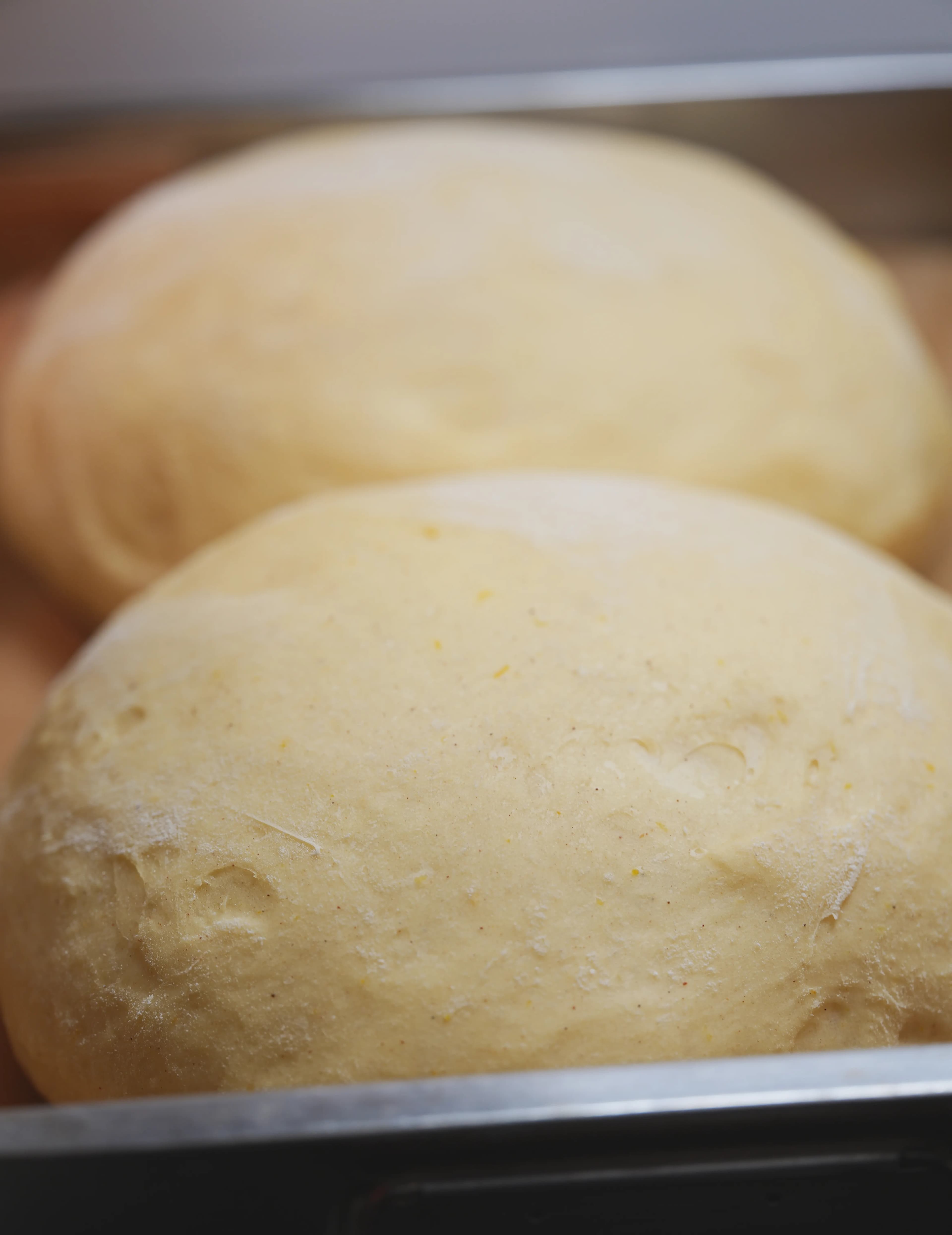Fermented corn dough
