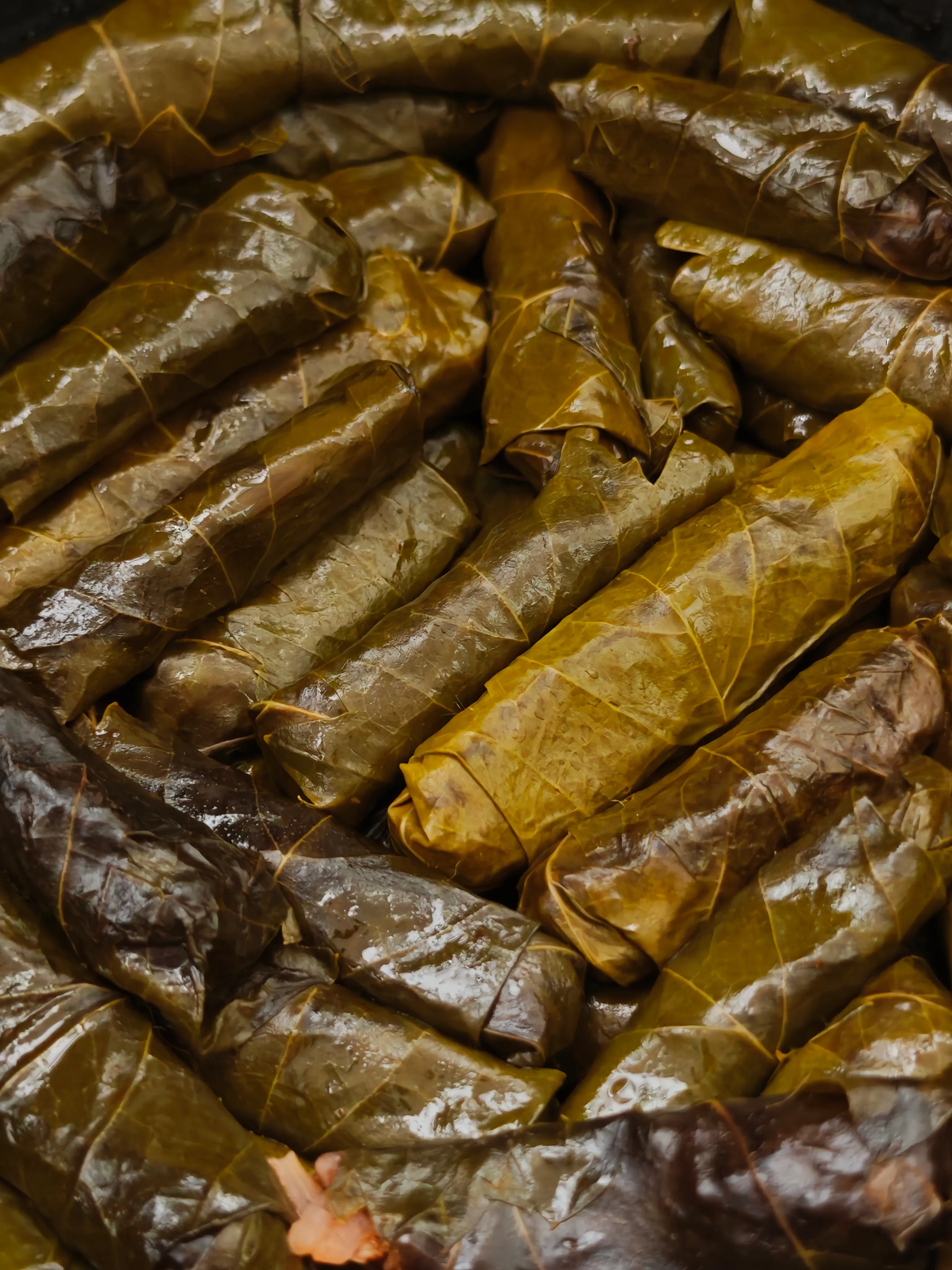 Grape leaves